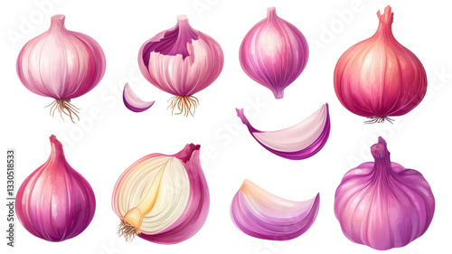 Close-up view of various shallots showcasing their layers and textures in a bright, natural setting