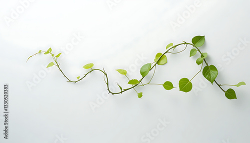 Minimalist Green Vine with Fresh Leaves – Elegant Nature Background