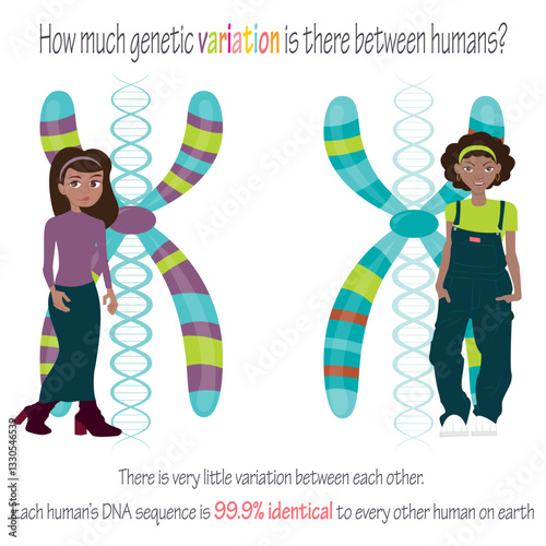Human genetic variation between individuals