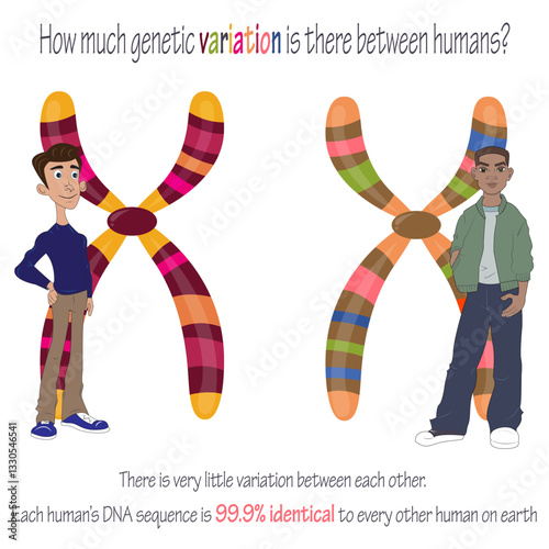 Human genetic variation between individuals