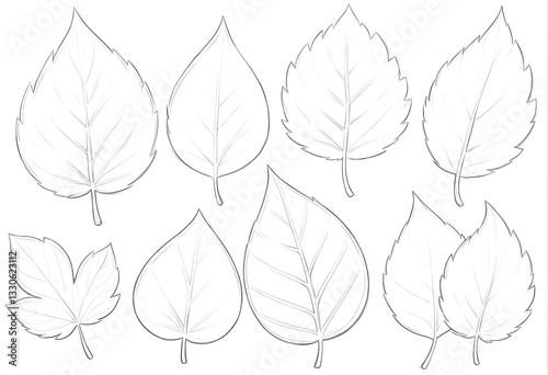 Black and white sketch of various leaf outlines with different shapes and sizes. Hand-drawn style illustration, perfect for coloring books, design elements, and botanical concepts.