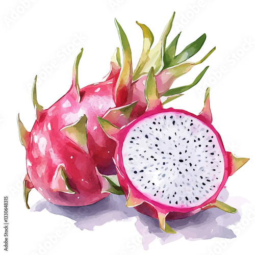 Simple Watercolor hand-painted sliced pink dragon fruit and green leaves with realistic texture on white background, botanical fruit illustration, flat watercolor painting, simple and detailed design