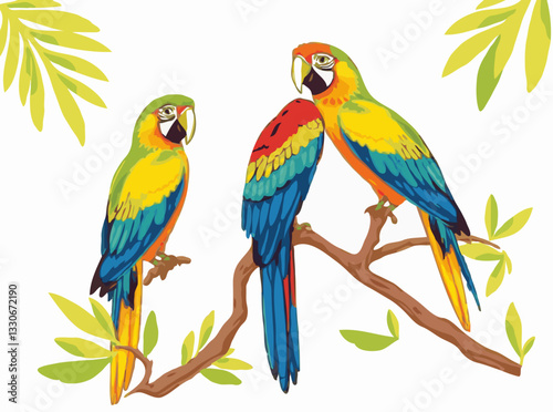 Macaw