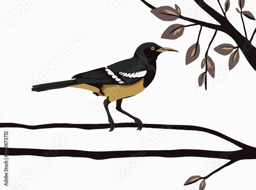 Mynah
