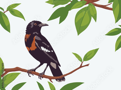 Mynah
