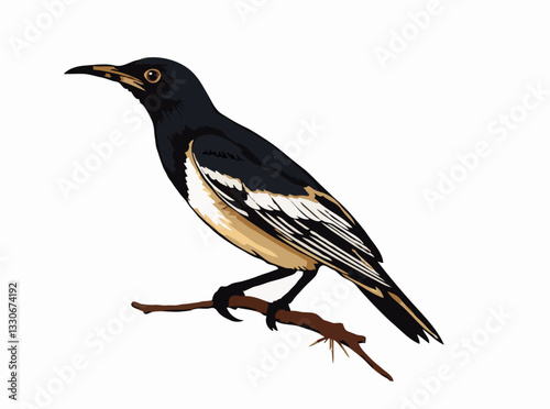 Mynah