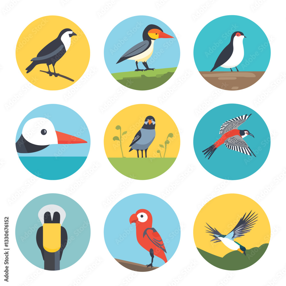 Obraz premium Colorful Illustrated Bird Collection on Circular Backgrounds