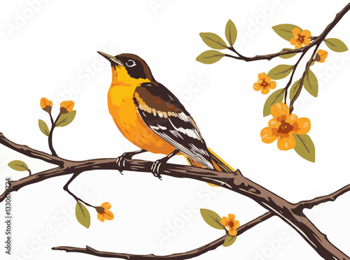 Oriole