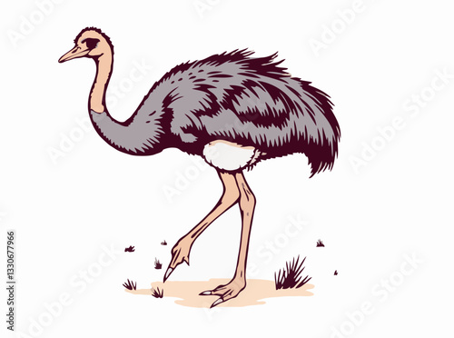 Ostrich