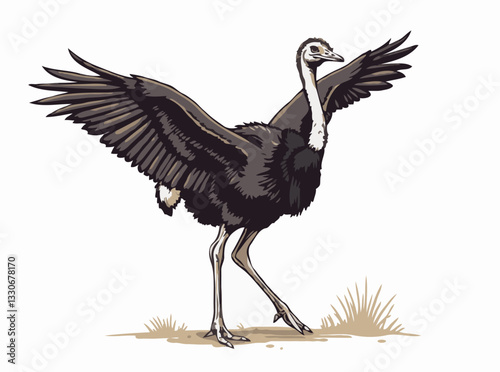 Ostrich