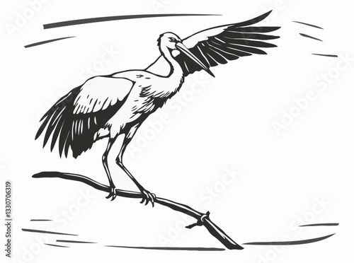 Stork