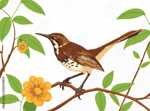 Thrush