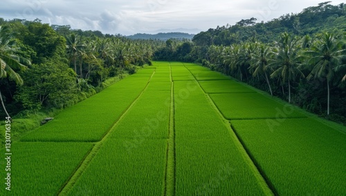 Lush green rice fields in Bali with a scenic view of palm trees and a volcano in the distance under a bright blue sky with clouds in a tropical landscape photo