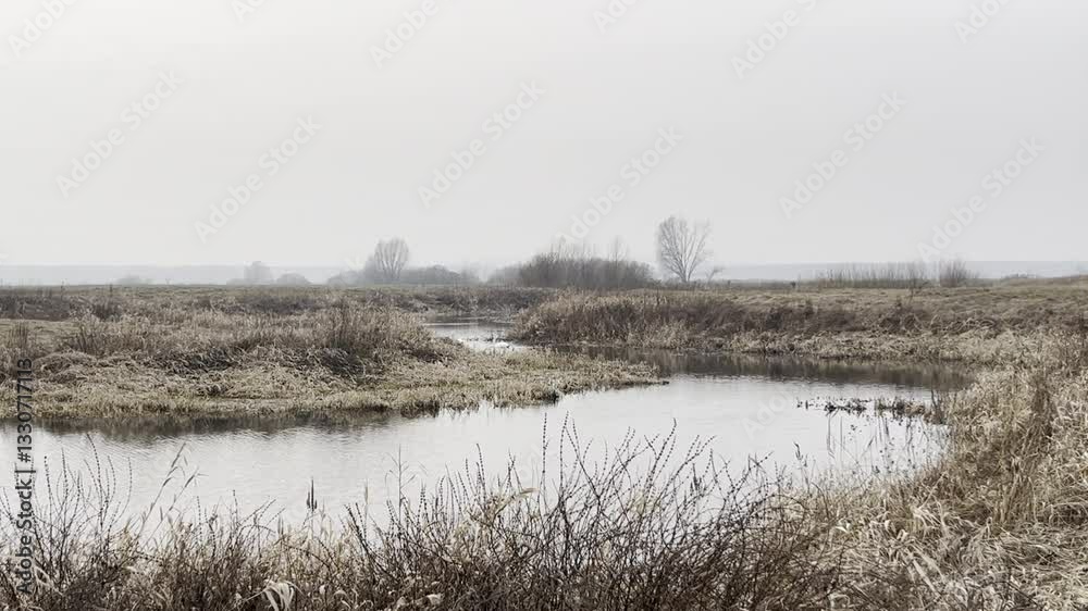 Perfect spring nature. meadow near the river with tree on the shore