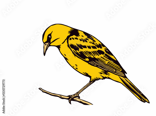 Yellowhammer