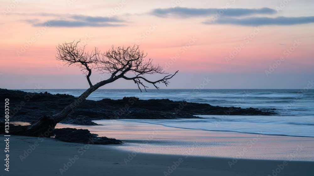 A lonely tree bends toward the ocean during a colorful sunset A lonely tree bends toward the ocean during a colorful sunset