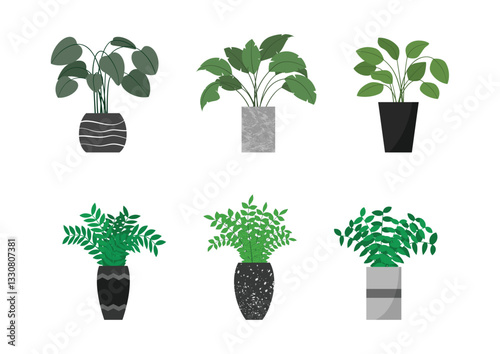 Set of plants for interior design and architecture projects.