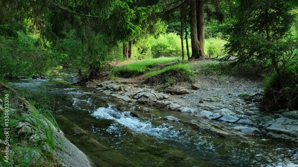 Tranquil river flows through a lush forest creating a serene and picturesque scene of natural beauty Trees and rocks adorn Tranquil river flows through a lush forest creating a serene and picturesque scene of natural beauty Trees and rocks adorn