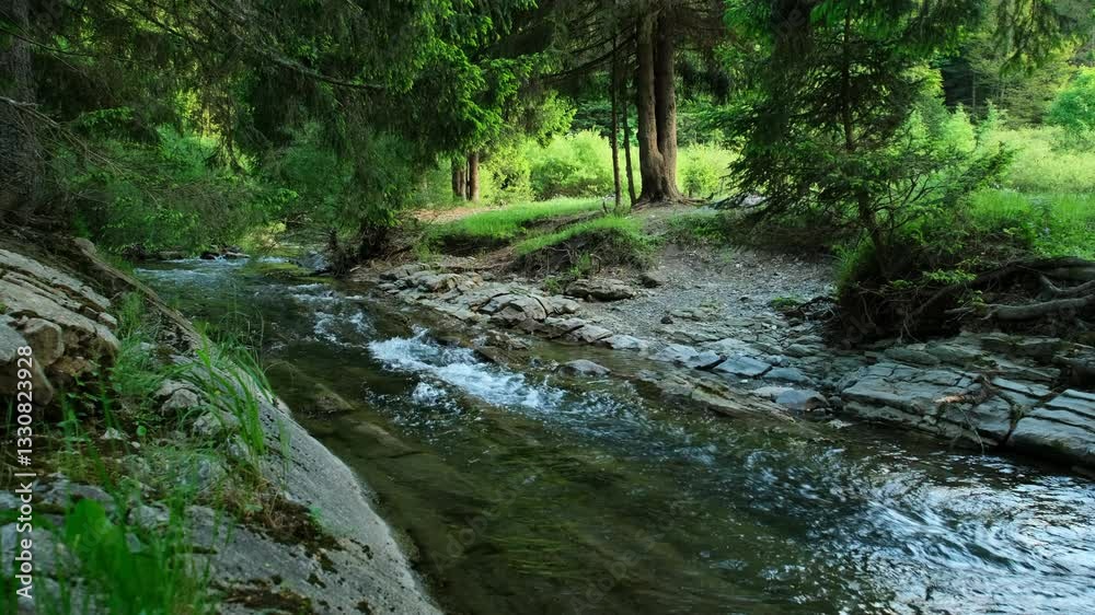 A scenic view of a shallow river flowing through a lush forest surrounded by green vegetation and rocky terrain on a sunny day A scenic view of a shallow river flowing through a lush forest surrounded by green vegetation and rocky terrain on a sunny day