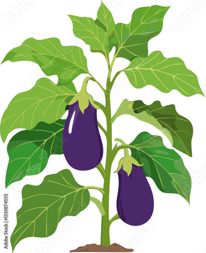 Fresh Eggplant: A Garden Treasure