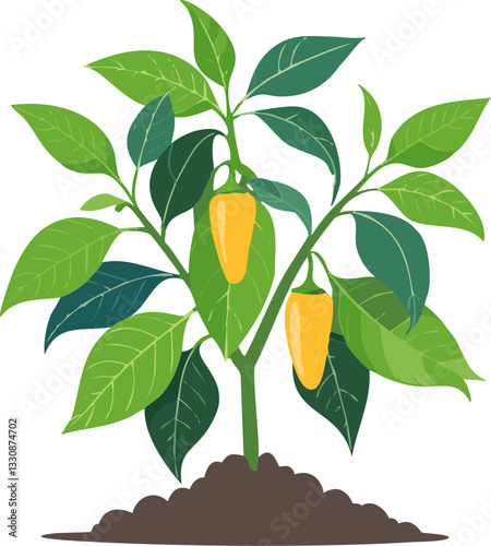 Colorful Bell Peppers: A Garden Favorite