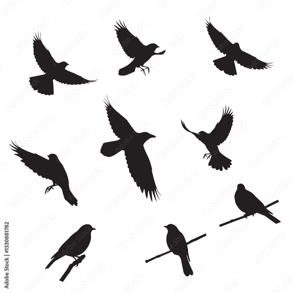 Fototapeta premium Premium vector silhouette bird's. Black bird design vector . 