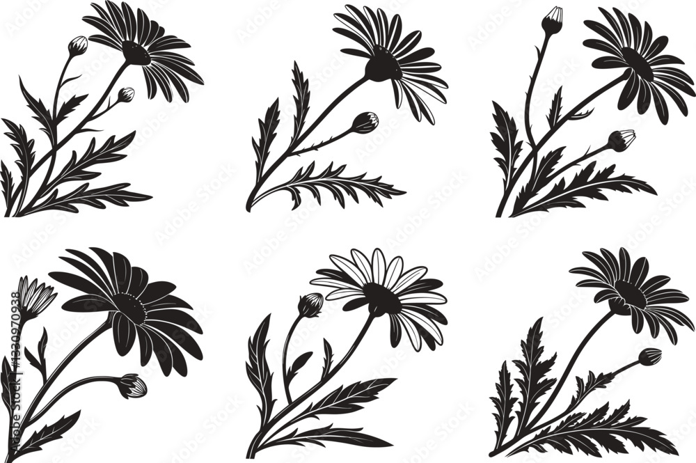 Elegant Daisy And Wildflower Silhouettes. Elegant Daisy And Wildflower Silhouettes.