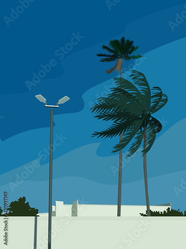 Coconut trees standing on the side of the white house.