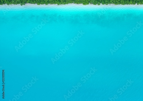 A serene, aquamarine landscape featuring calm water meeting lush greenery at the edge, creating a tranquil and picturesque scene.