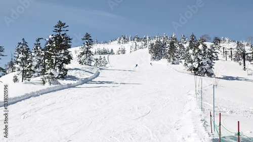 Skiers on a wide ski slope with trees and blue sky. Yokoteyama, Japan. Handheld