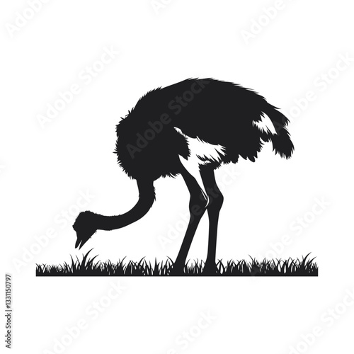 ostrich bending down to neck the ground