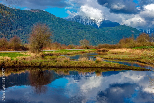 Pitt Lake Provincial Park Sunny day at river valley, snow-capped peaks, light clouds in the blue sky, the forest on the horizon, yellow grass and bushes on the bank of the river photo