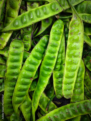 Wallpaper Mural Stacks of petai in Indonesian or stinky beans with the scientific name Parkia speciosa are found in many traditional regional dishes in Indonesia. Torontodigital.ca