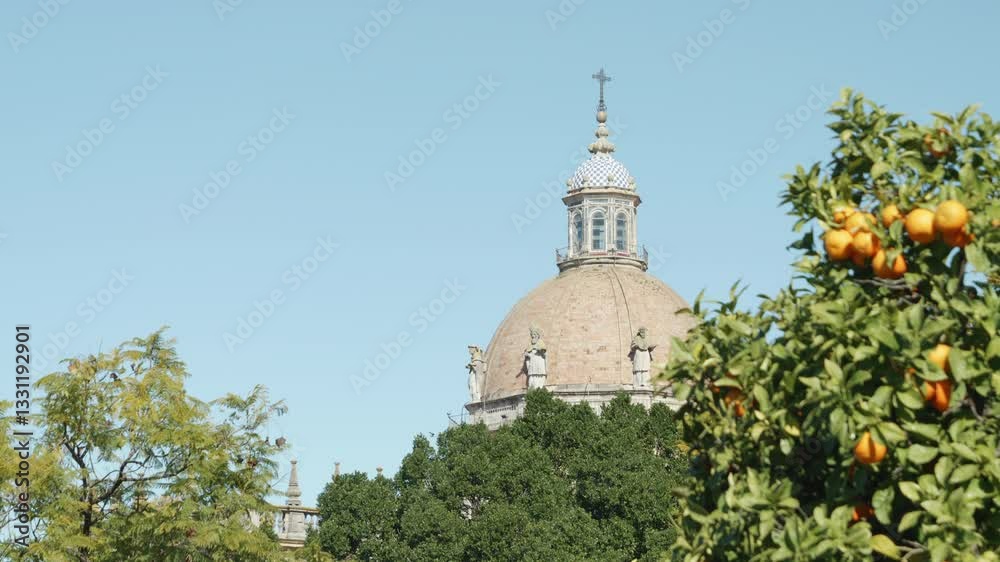 Dome of Jerez Cathedral against blue sky, tangerine tree on right, Spain. Handheld Dome of Jerez Cathedral against blue sky, tangerine tree on right, Spain. Handheld
