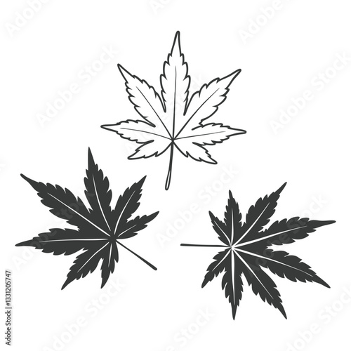 maple leaf vector illustration