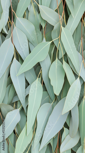 eucalyptus leaves background in vertical orientation