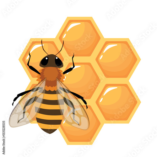  a honeycomb with honey bee.Vector cartoon illustration