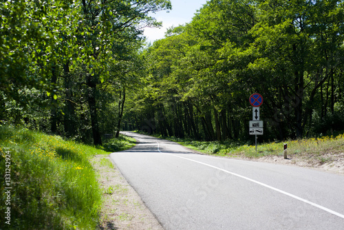 The road that lies in the midst of a dense forest, illuminated by the evening light shining on it