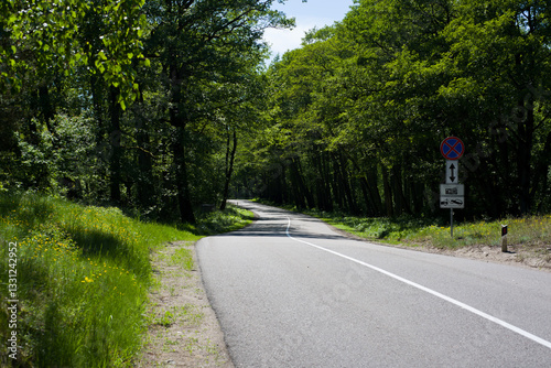 The road that lies in the midst of a dense forest, illuminated by the evening light shining on it