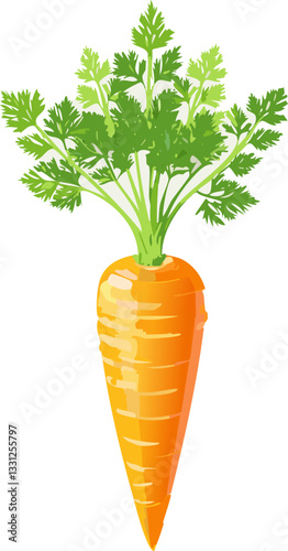 Art & Illustration Carrot