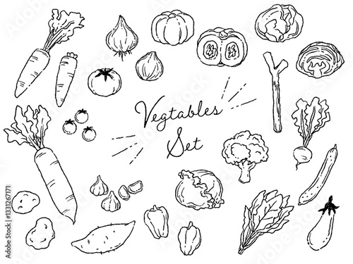 おしゃれでラフな雰囲気の野菜のベクターイラストセット(線画)
