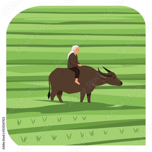 Elderly woman riding a water buffalo in flat green landscape vector art