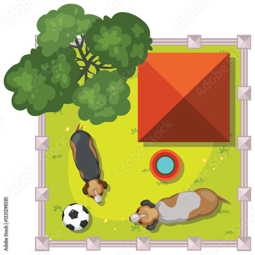Aerial View of Dogs in Backyard