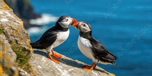 Pair of puffins touching beaks on a rocky cliff overlooking the ocean nature photography coastal environment scenic viewpoint wildlife love