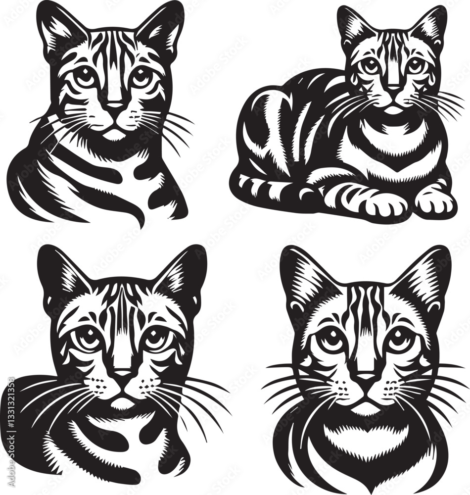Obraz premium Bengal cat vector in black and white