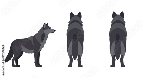 Detailed vector illustration of a wolf showcasing various angles in flat design style