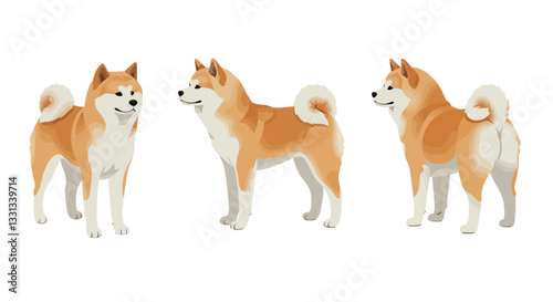 Shiba Inu dog character design in detailed flat style vector art