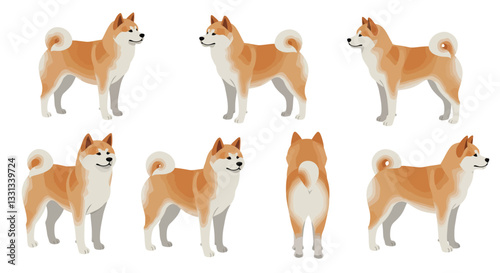 Shiba Inu dog character poses in flat style vector art illustration
