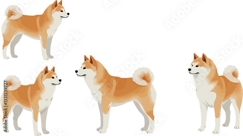 Shiba Inu dogs in various poses illustrated in a minimal flat vector art style