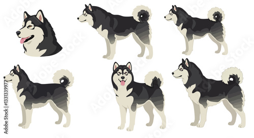 Detailed illustration of a playful husky dog in flat vector art style